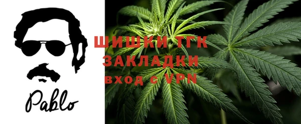 PSILOCYBIN Михайлов