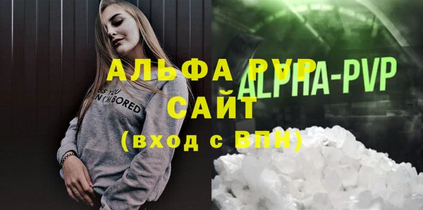 индика Бабаево