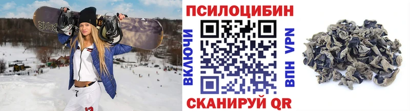 наркотики Южно-Сахалинск Псилоцибиновые грибы Psilocybe
